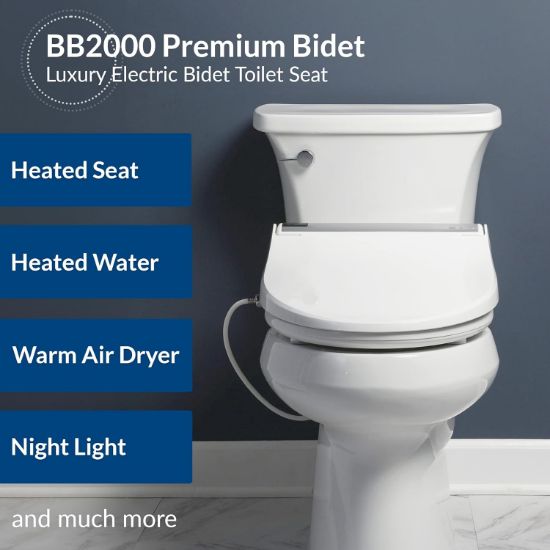 Picture of Bidet Toilet Seat
